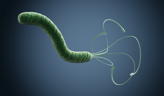 Microbiota intestinal: el órgano invisible que define tu salud