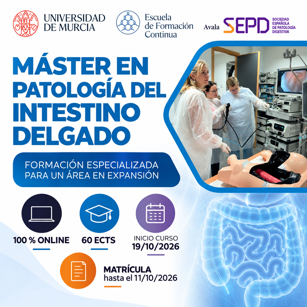 Máster en patologia del intestino delgado